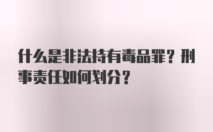 什么是非法持有毒品罪？刑事责任如何划分？