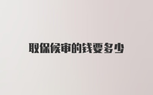 取保候审的钱要多少