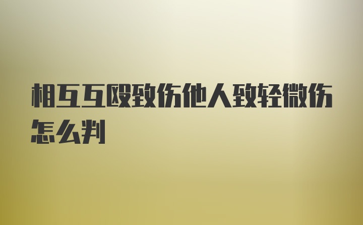 相互互殴致伤他人致轻微伤怎么判