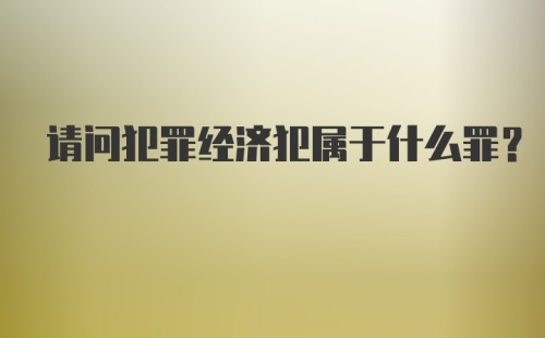 请问犯罪经济犯属于什么罪？