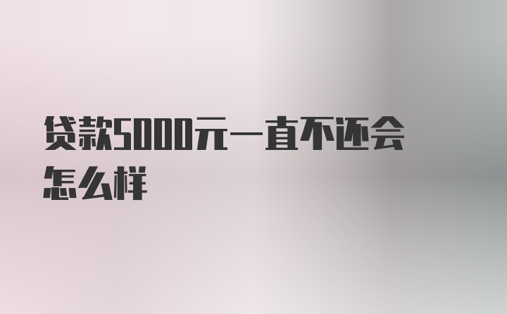 贷款5000元一直不还会怎么样