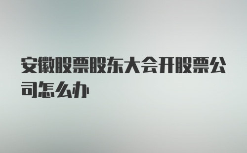 安徽股票股东大会开股票公司怎么办