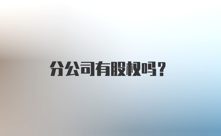 分公司有股权吗？