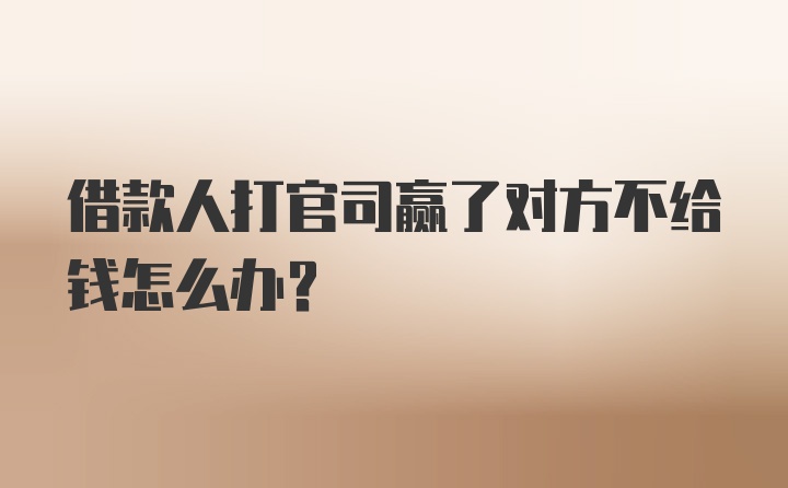 借款人打官司赢了对方不给钱怎么办？