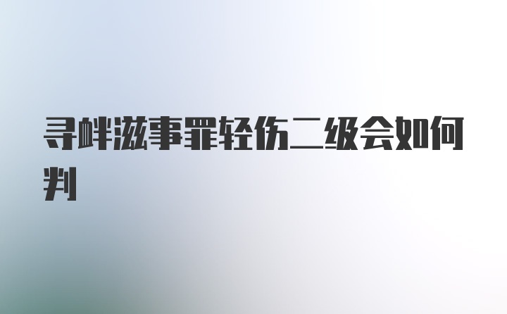 寻衅滋事罪轻伤二级会如何判