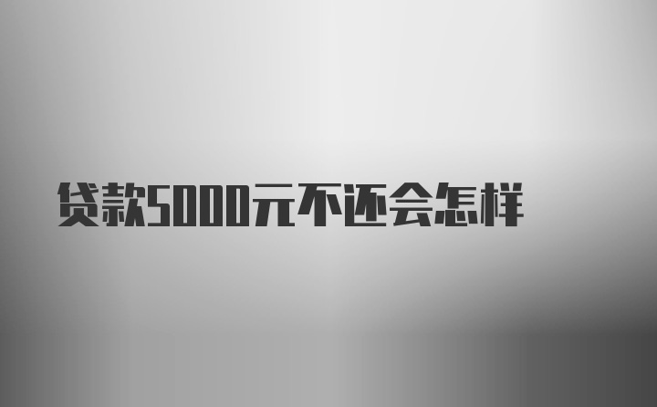 贷款5000元不还会怎样