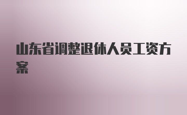 山东省调整退休人员工资方案