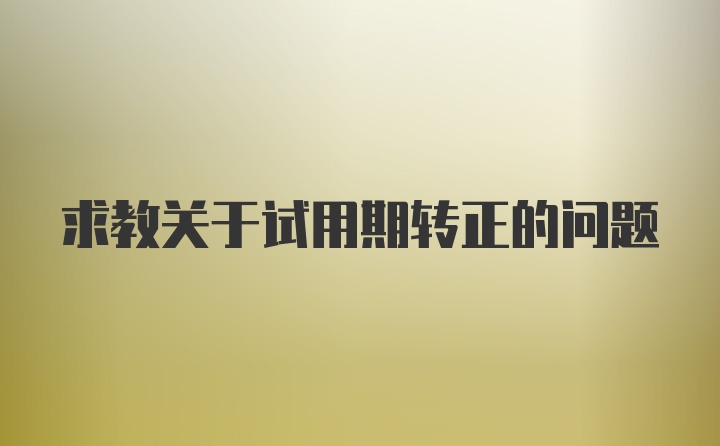 求教关于试用期转正的问题