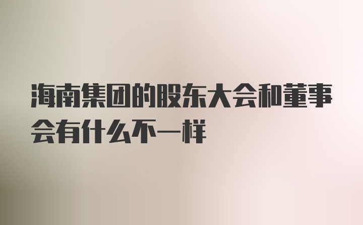 海南集团的股东大会和董事会有什么不一样