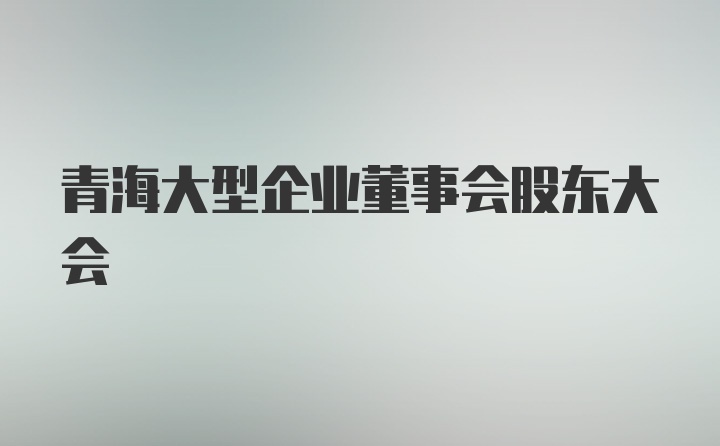 青海大型企业董事会股东大会