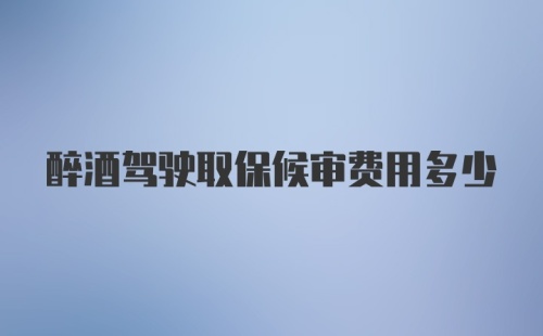 醉酒驾驶取保候审费用多少