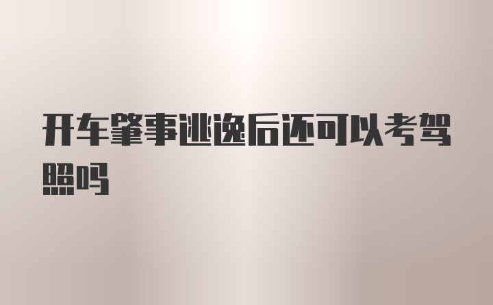 开车肇事逃逸后还可以考驾照吗