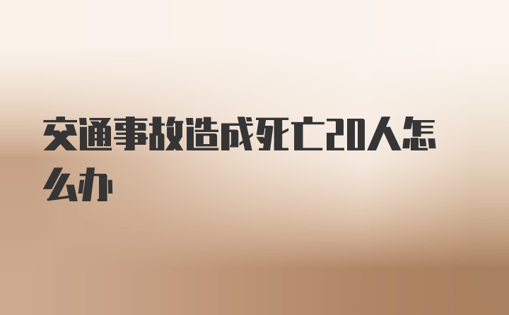 交通事故造成死亡20人怎么办