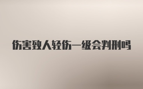 伤害致人轻伤一级会判刑吗