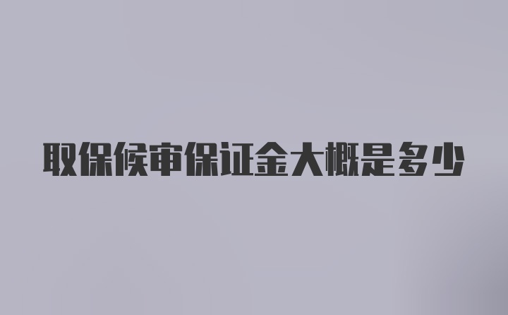 取保候审保证金大概是多少