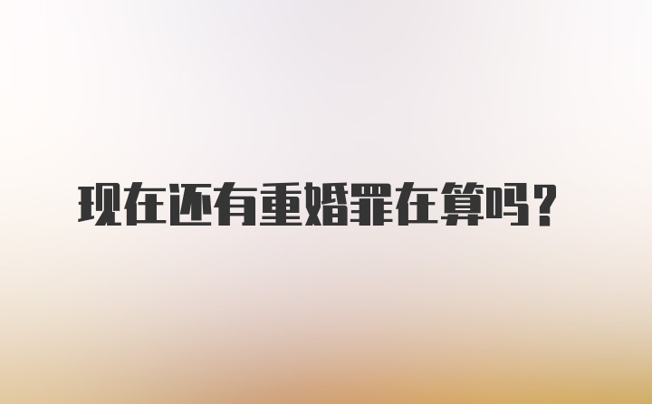 现在还有重婚罪在算吗？