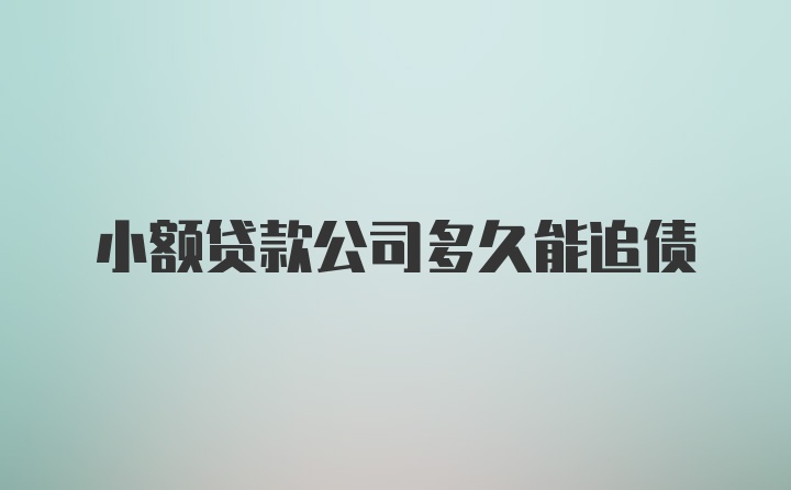 小额贷款公司多久能追债