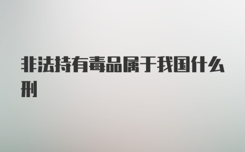 非法持有毒品属于我国什么刑