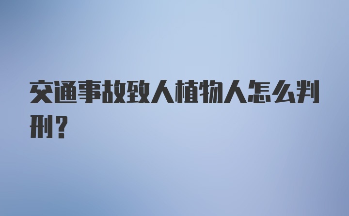 交通事故致人植物人怎么判刑？