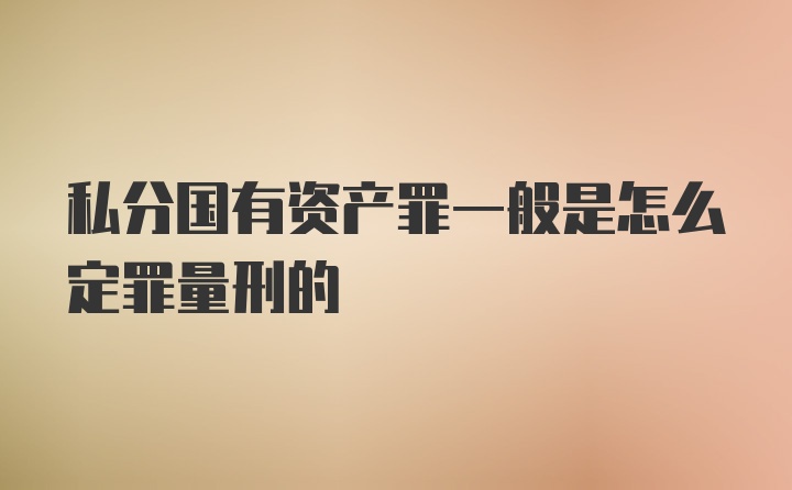 私分国有资产罪一般是怎么定罪量刑的