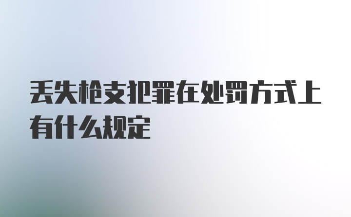 丢失枪支犯罪在处罚方式上有什么规定