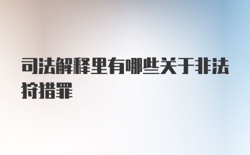 司法解释里有哪些关于非法狩猎罪