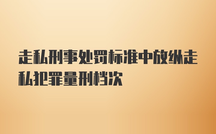 走私刑事处罚标准中放纵走私犯罪量刑档次