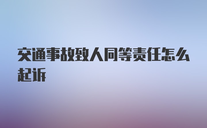 交通事故致人同等责任怎么起诉