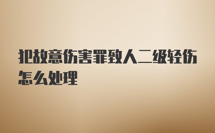 犯故意伤害罪致人二级轻伤怎么处理