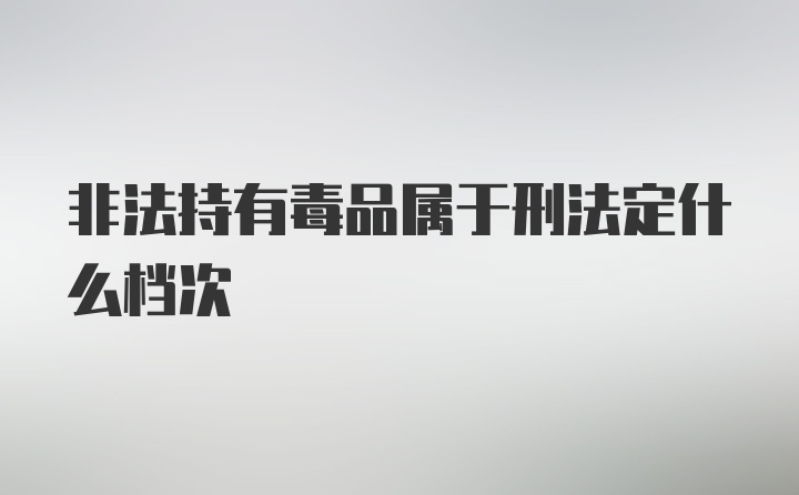 非法持有毒品属于刑法定什么档次