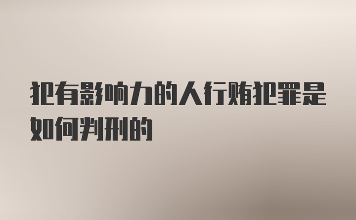 犯有影响力的人行贿犯罪是如何判刑的