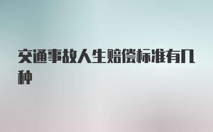 交通事故人生赔偿标准有几种