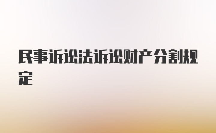 民事诉讼法诉讼财产分割规定