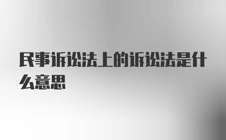 民事诉讼法上的诉讼法是什么意思