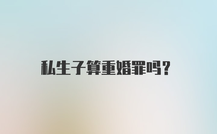 私生子算重婚罪吗？