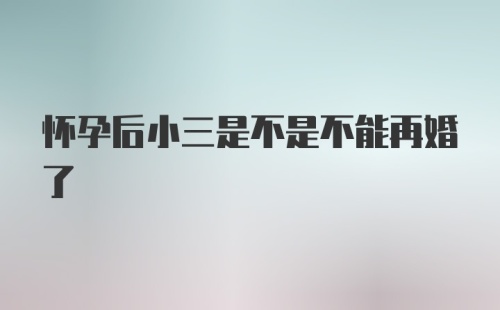 怀孕后小三是不是不能再婚了