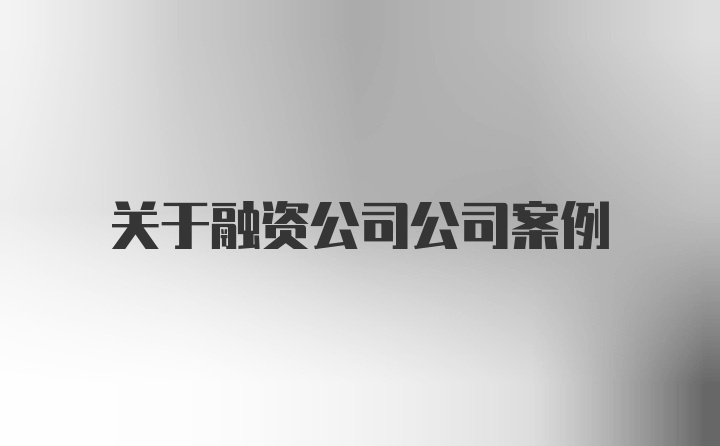 关于融资公司公司案例