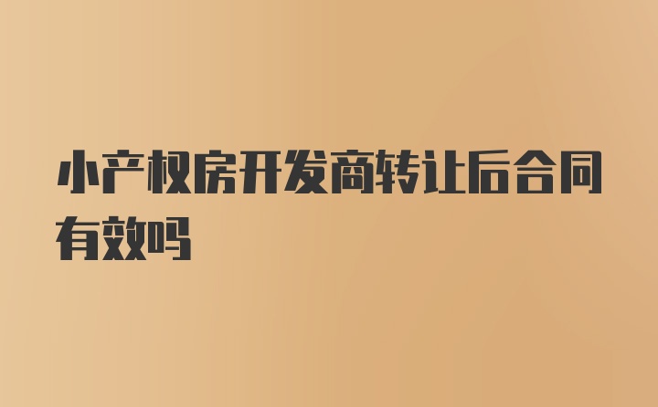 小产权房开发商转让后合同有效吗