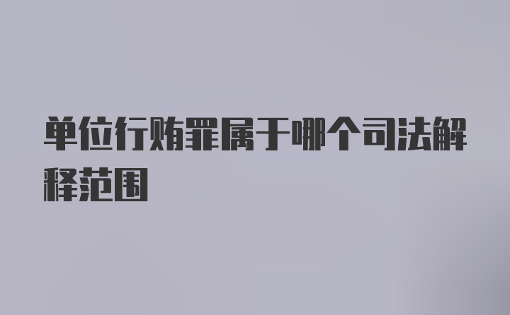 单位行贿罪属于哪个司法解释范围