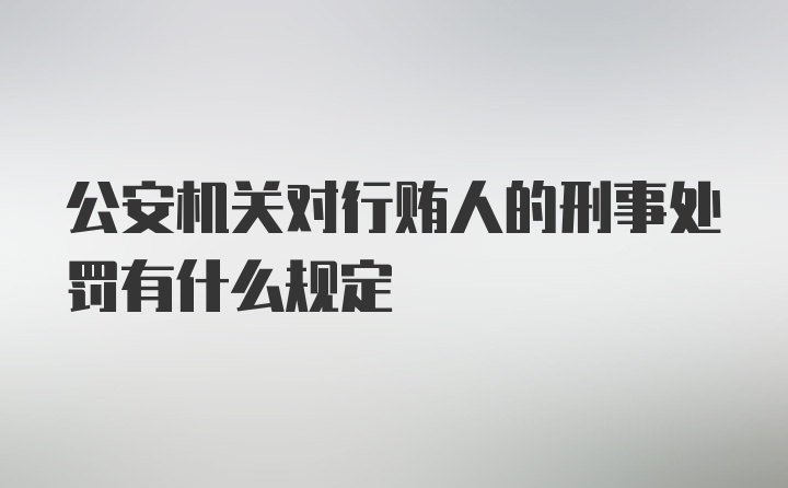 公安机关对行贿人的刑事处罚有什么规定