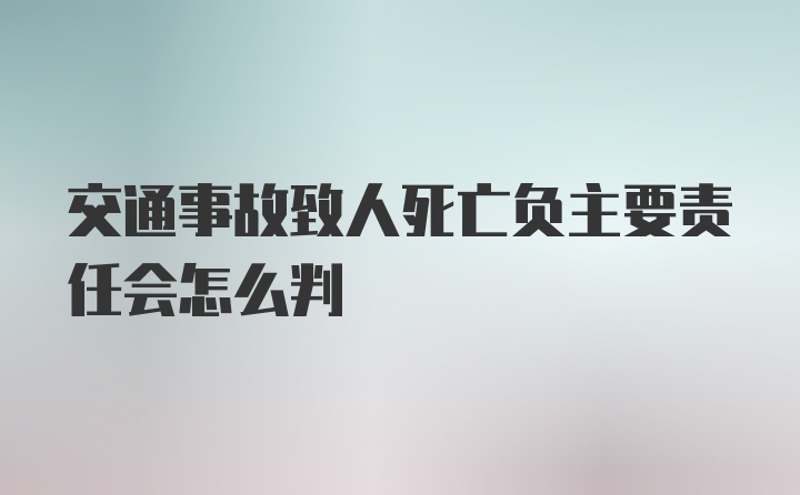 交通事故致人死亡负主要责任会怎么判