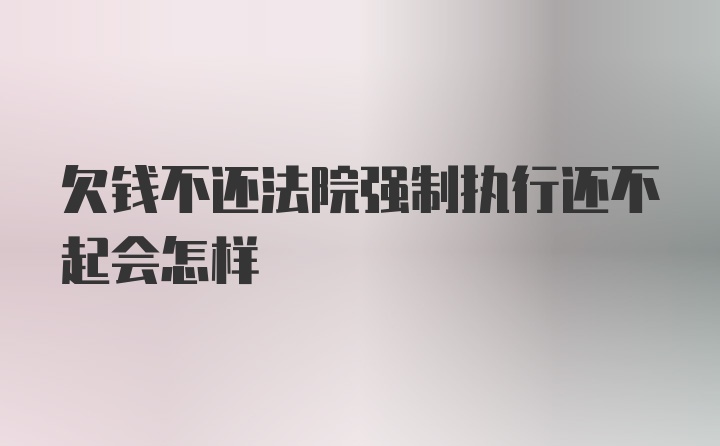 欠钱不还法院强制执行还不起会怎样