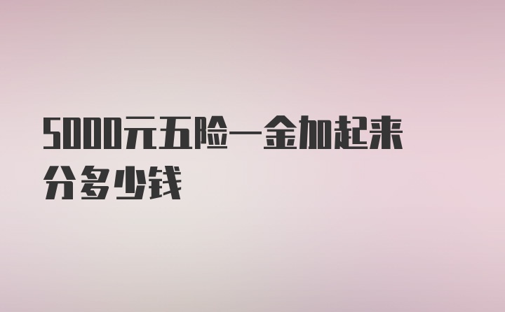 5000元五险一金加起来分多少钱