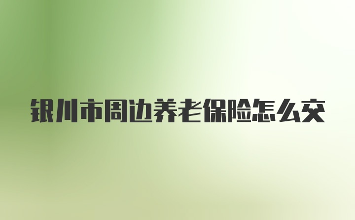 银川市周边养老保险怎么交