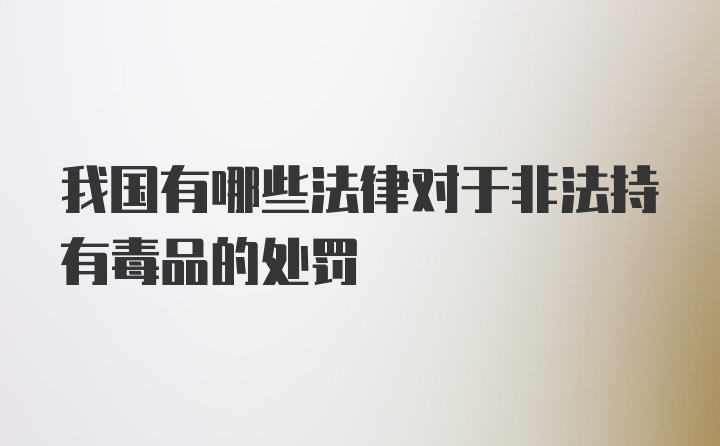 我国有哪些法律对于非法持有毒品的处罚