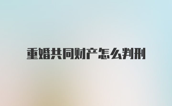 重婚共同财产怎么判刑