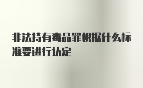 非法持有毒品罪根据什么标准要进行认定