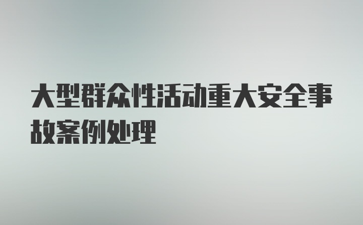 大型群众性活动重大安全事故案例处理