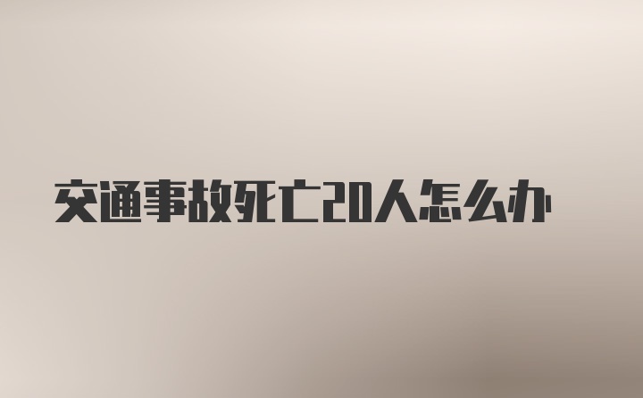 交通事故死亡20人怎么办