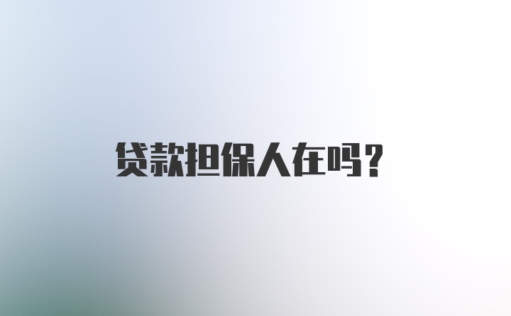 贷款担保人在吗？